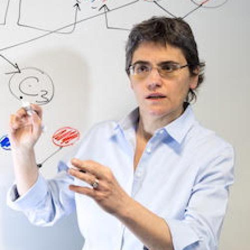 Pierangela Samarati