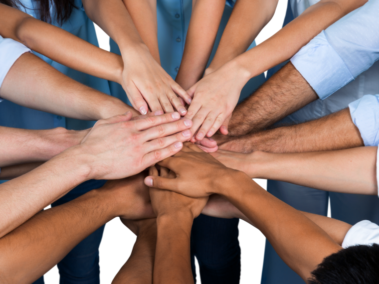 Become a Participant