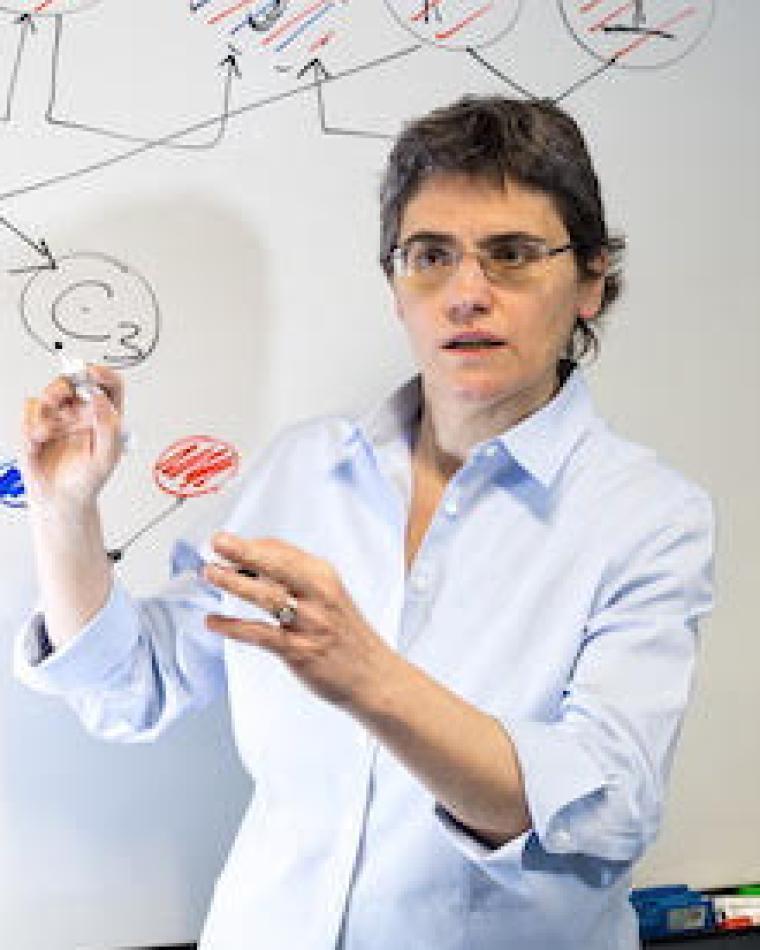 Pierangela Samarati