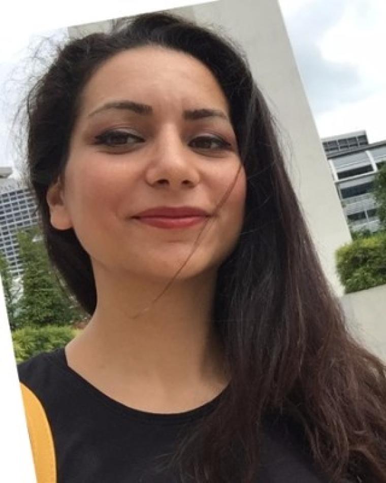 didem